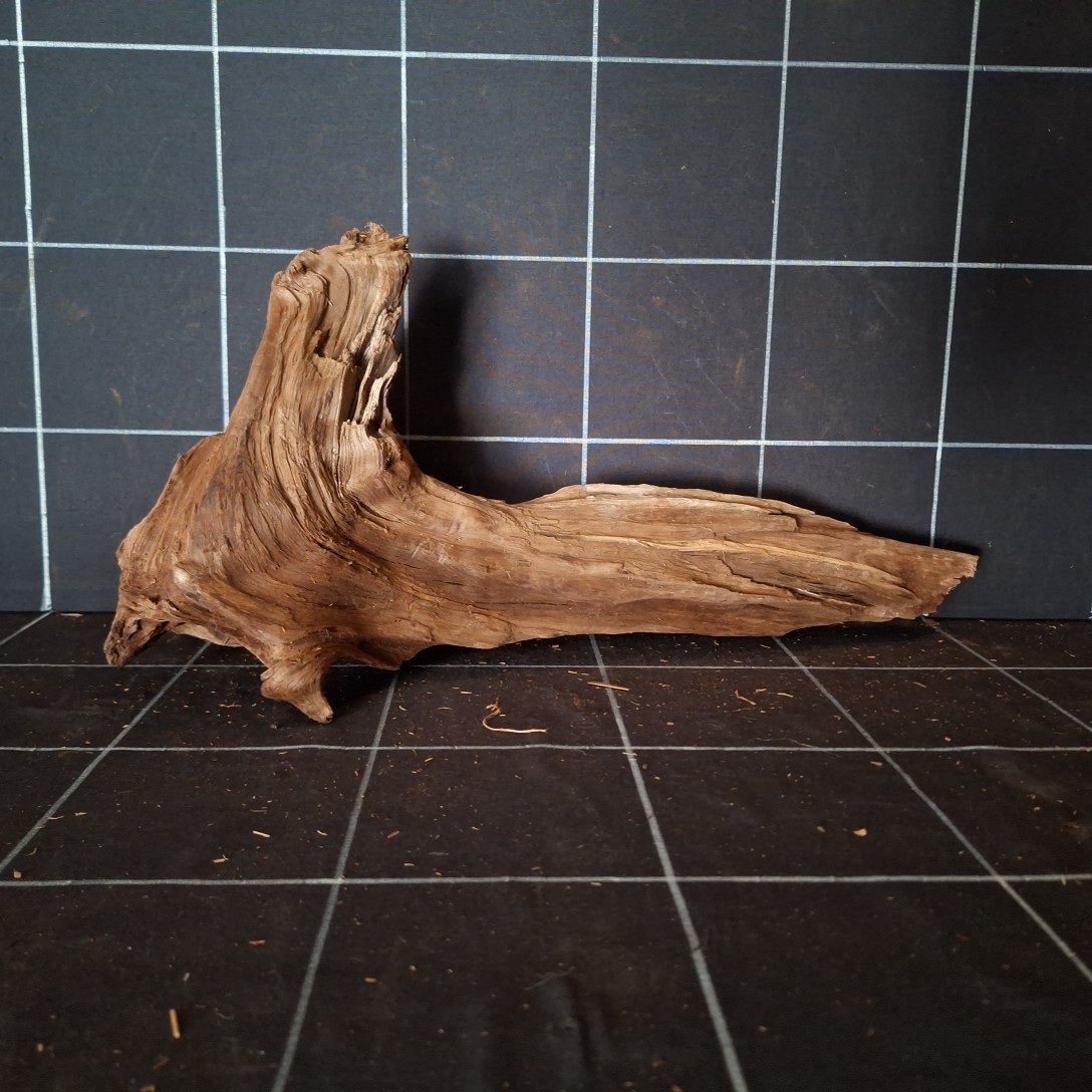 Tuskwood Akvarierot WYSIWYG Äkta Bogwood Unik 42 cm P032620 - Billede 6