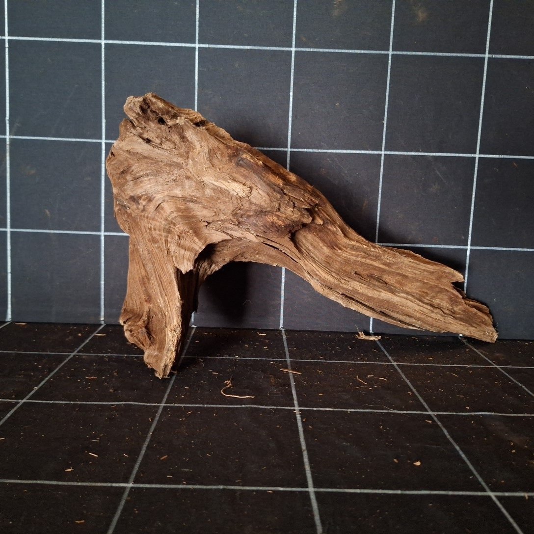 Tuskwood Akvarierot WYSIWYG Äkta Bogwood Unik 42 cm P032620 - Billede 7