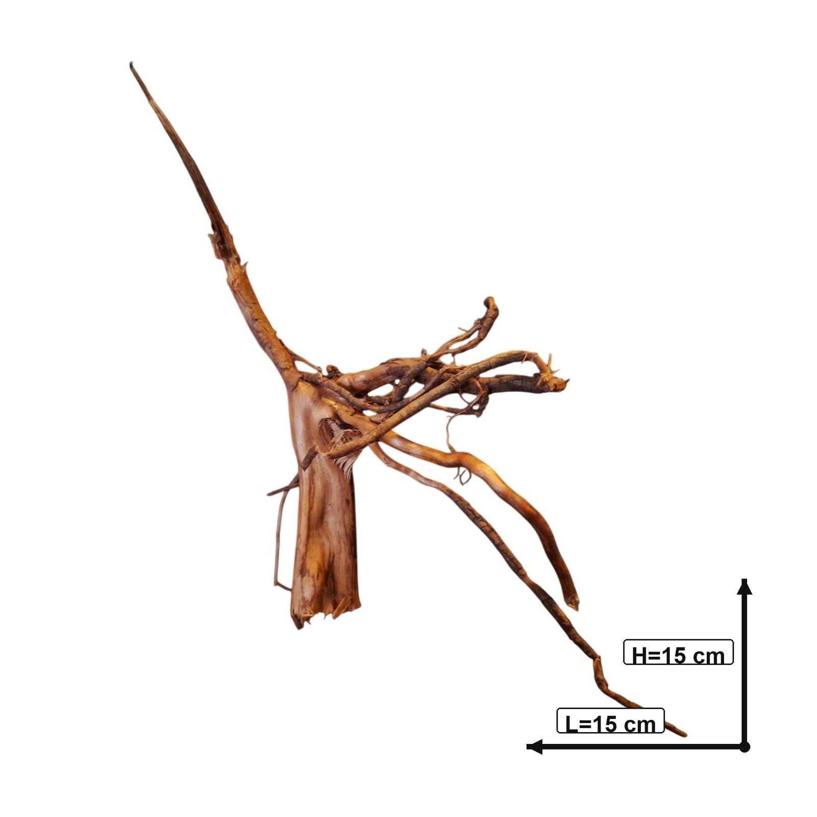 Tuskwood Akvarierot WYSIWYG Äkta Bogwood Unik 15 cm P032621 - Afbeelding 3