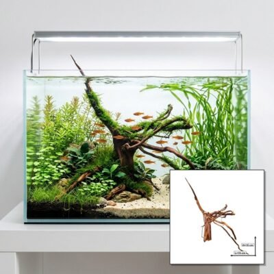 Tuskwood Korzeń akwariowy WYSIWYG Genuine Bogwood Unique 15 cm P032621