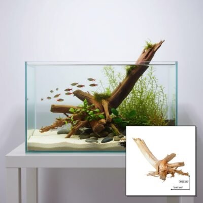 Tuskwood akvarierod i ægte mosetræ, 42 cm, P042618