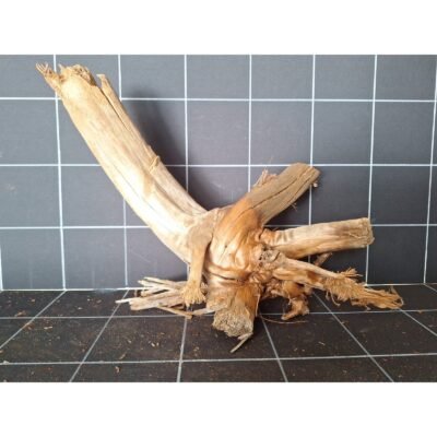Tuskwood akvarierot i äkta bogwood, 42 cm, P042618