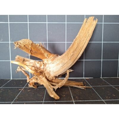 Tuskwood akvarierot i äkta bogwood, 42 cm, P042618