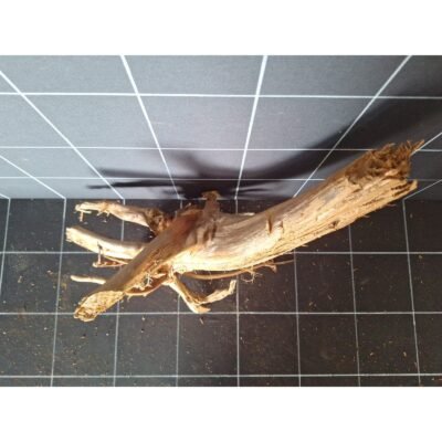 Tuskwood akvarierot i äkta bogwood, 42 cm, P042618