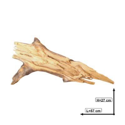 Måttsatt bild av Tuskwood akvarierot äkta bogwood 57 cm P042619
