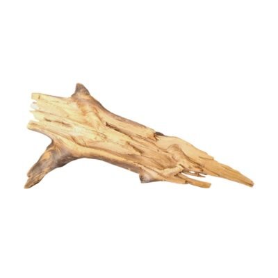 Frilagd Tuskwood akvarierot WYSIWYG äkta bogwood 57 cm P042619 mot vit bakgrund