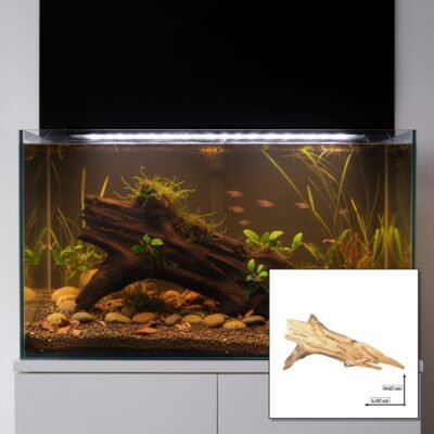 Tuskwood Akvarierot WYSIWYG Äkta Bogwood Unik 57 cm P042619