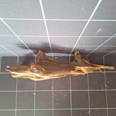 Tuskwood akvarierot äkta bogwood 57 cm P042619 sedd ovanifrån