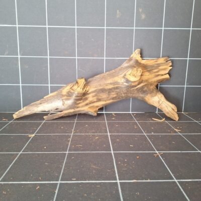 Tuskwood akvarierot äkta bogwood 57 cm P042619 sedd bakifrån