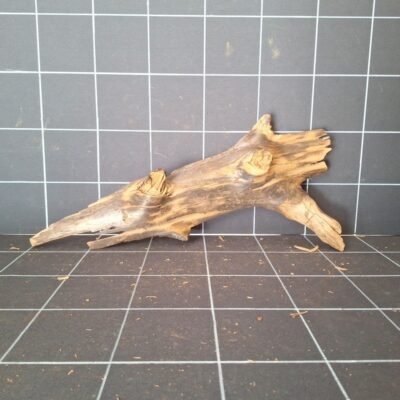 Tuskwood akvarierot WYSIWYG äkta bogwood 57 cm P042619
