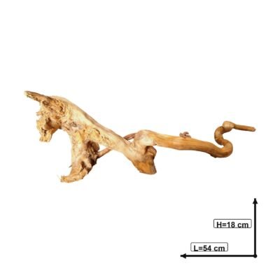 Tuskwood akvarierot i äkta bogwood, 54 cm, P052618