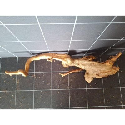 Tuskwood akvarierot i äkta bogwood, 54 cm, P052618
