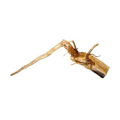 Frilagd Tuskwood akvarierot WYSIWYG äkta bogwood 50 cm P052619 mot vit bakgrund