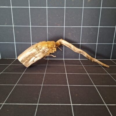 Tuskwood akvarierot äkta bogwood 50 cm P052619 sedd bakifrån