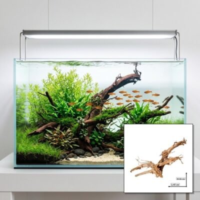 Tuskwood Akvarierot WYSIWYG Äkta Bogwood Unik 57 cm P052620