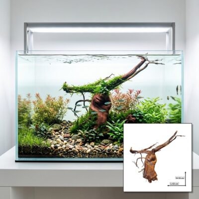 Tuskwood Korzeń akwariowy WYSIWYG Genuine Bogwood Unique 23 cm P052621