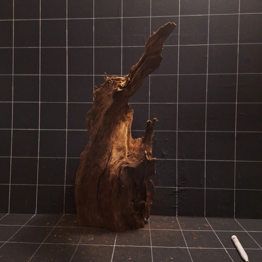 Tuskwood Akvarierot WYSIWYG Äkta Bogwood Unik 48 cm P052622 - obrazek 4
