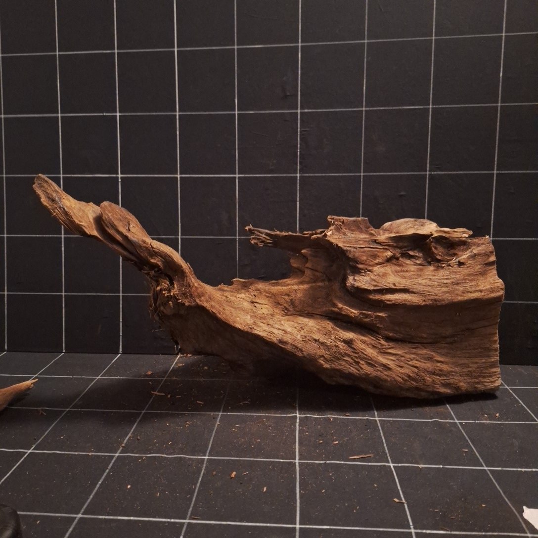Tuskwood Akvarierot WYSIWYG Äkta Bogwood Unik 48 cm P052622 - obrazek 5