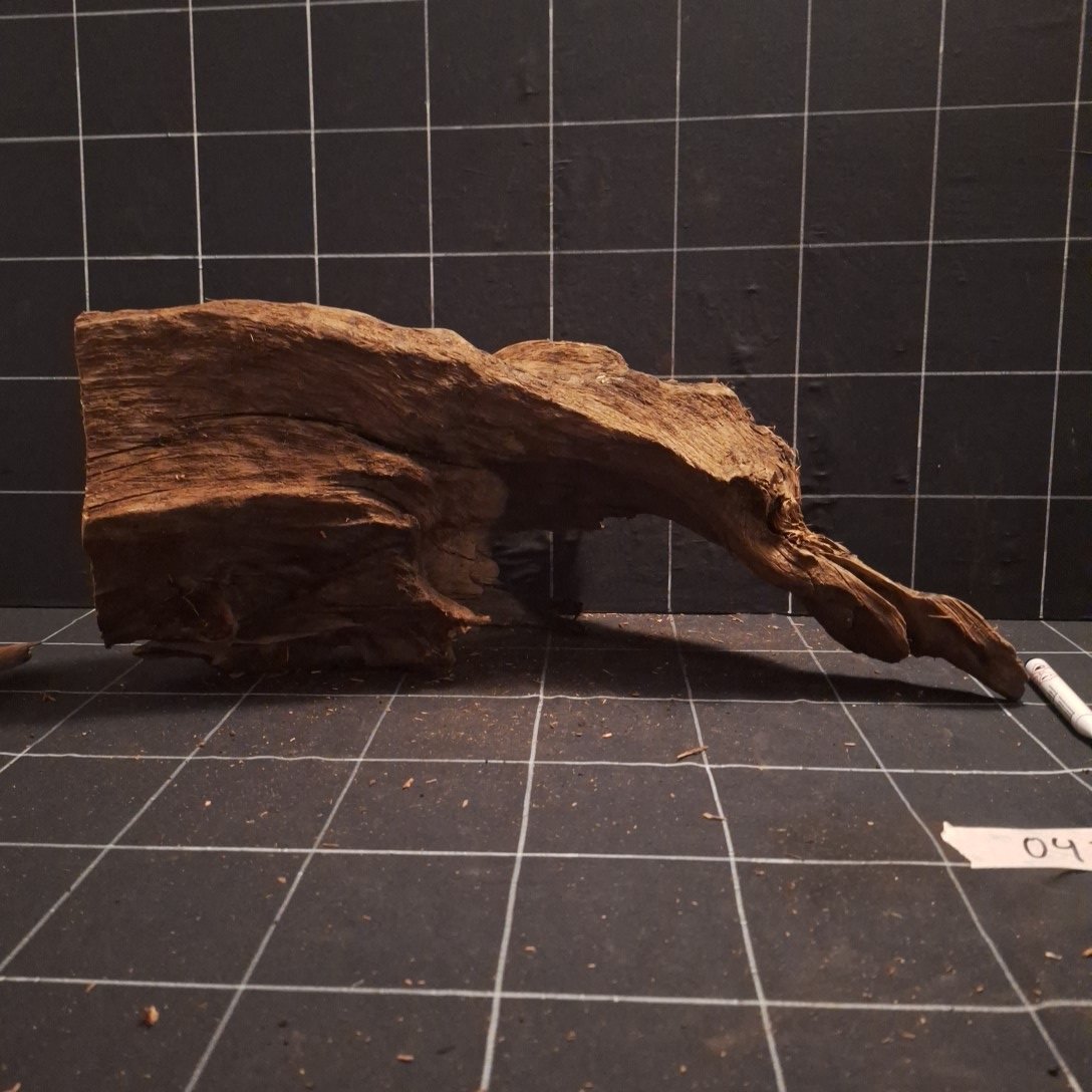 Tuskwood Akvarierot WYSIWYG Äkta Bogwood Unik 48 cm P052622 - obrazek 6