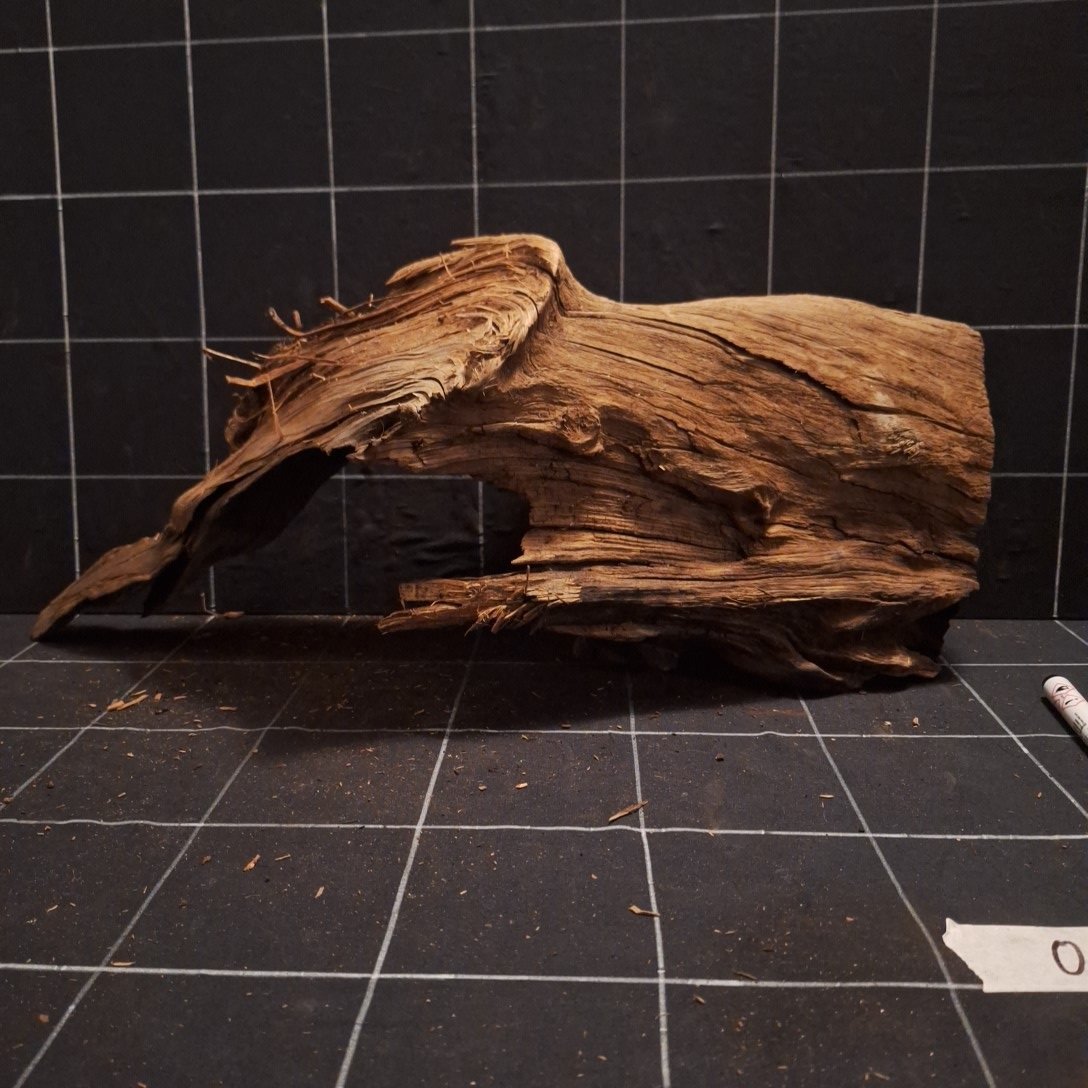 Tuskwood Akvarierot WYSIWYG Äkta Bogwood Unik 48 cm P052622 - obrazek 7