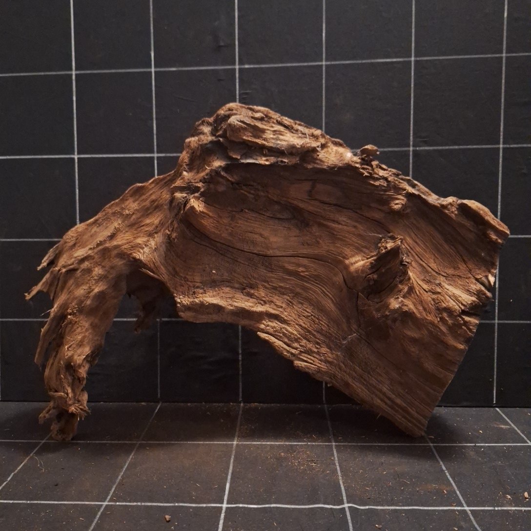 Tuskwood Akvarierot WYSIWYG Äkta Bogwood Unik 48 cm P052622 - obrazek 12