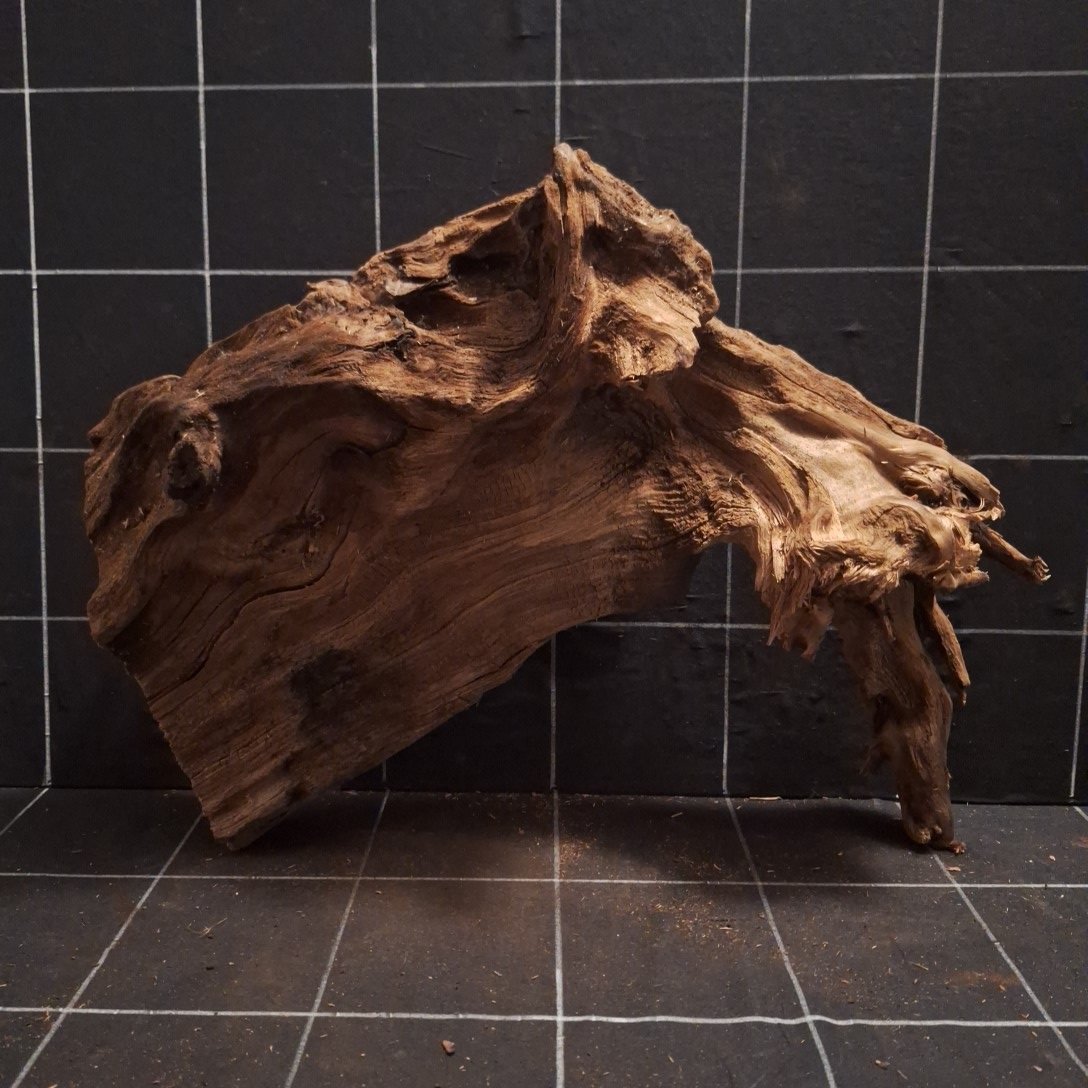 Tuskwood Akvarierot WYSIWYG Äkta Bogwood Unik 48 cm P052622 - obrazek 13