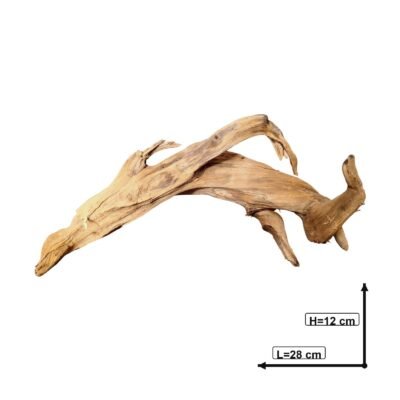 Tuskwood akvarierot i äkta bogwood, 28 cm, P062618
