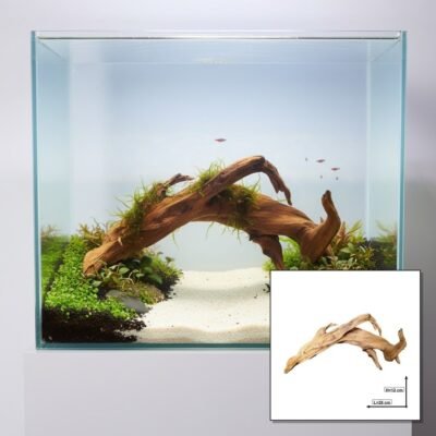 Tuskwood akvarierod i ægte mosetræ, 28 cm, P062618