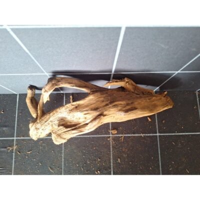 Tuskwood akvarierot i äkta bogwood, 28 cm, P062618