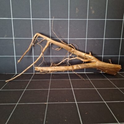 Tuskwood akvarierot äkta bogwood 54 cm P062619 sedd bakifrån