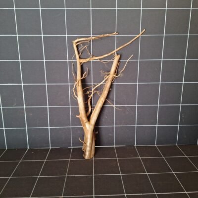 Tuskwood akvarierot WYSIWYG äkta bogwood 54 cm P062619