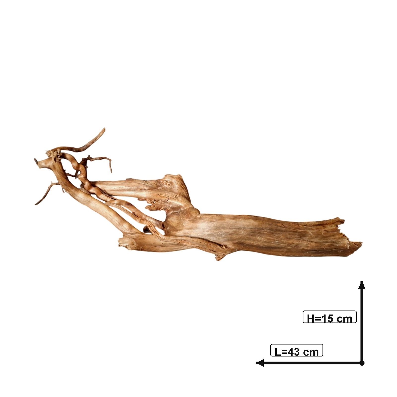 Tuskwood Akvarierot WYSIWYG Äkta Bogwood Unik 43 cm P062620 - Billede 3