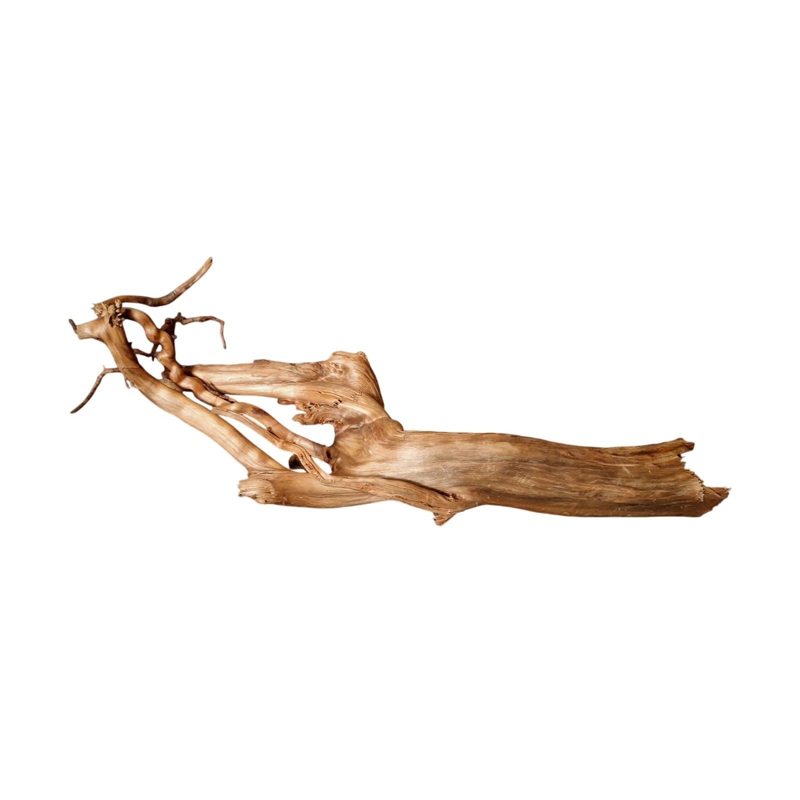 Tuskwood Akvarierot WYSIWYG Äkta Bogwood Unik 43 cm P062620 - Billede 6