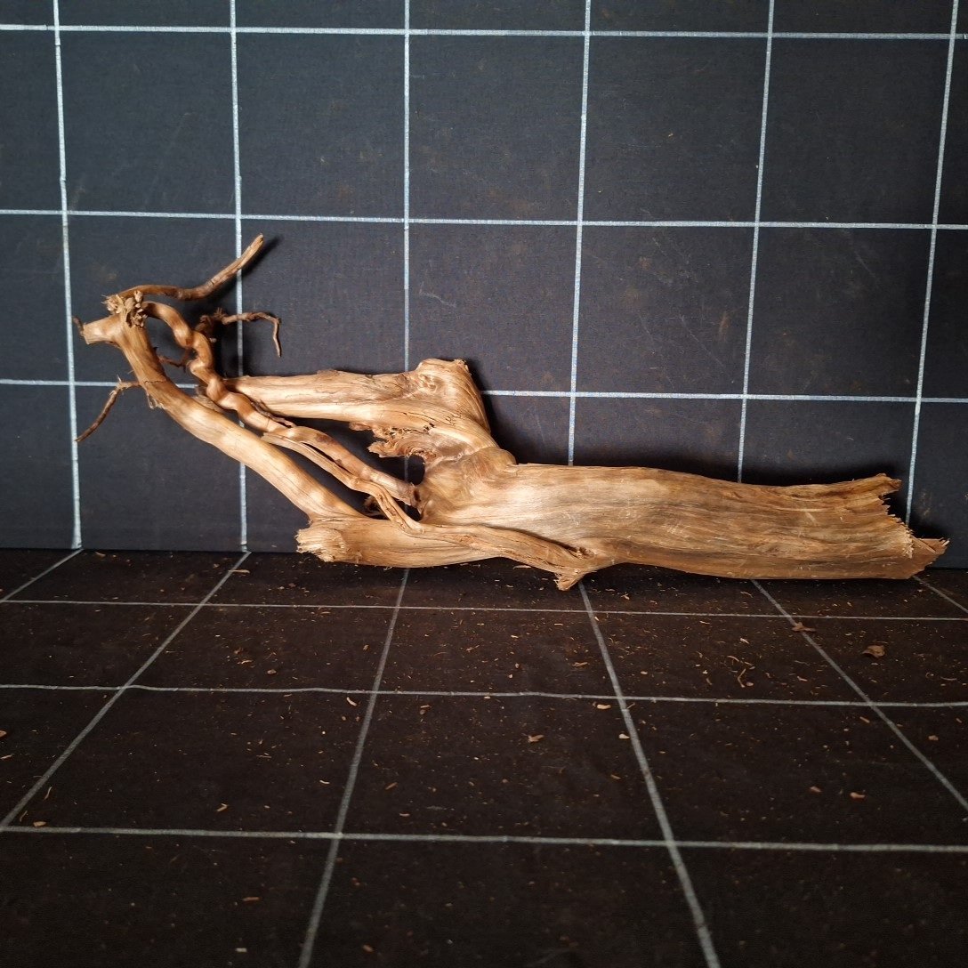 Tuskwood Akvarierot WYSIWYG Äkta Bogwood Unik 43 cm P062620 - Billede 4