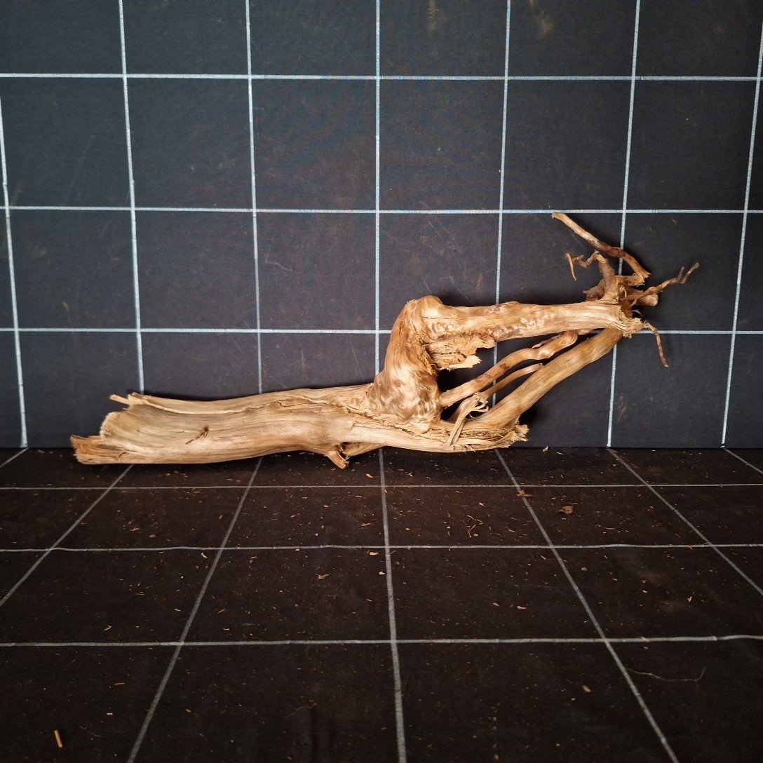 Tuskwood Akvarierot WYSIWYG Äkta Bogwood Unik 43 cm P062620 - Billede 5