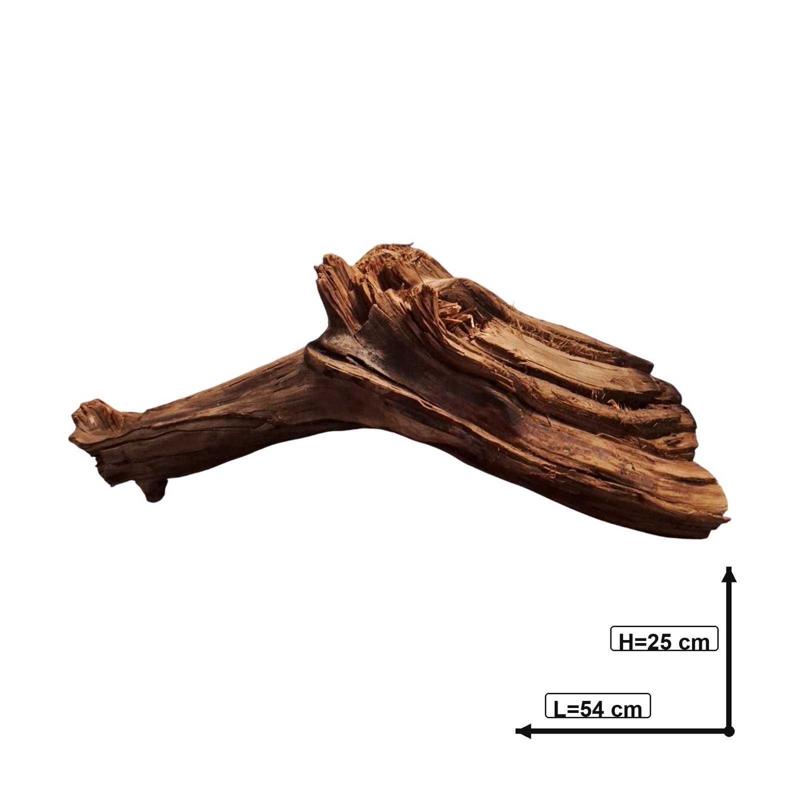 Tuskwood Akvarierot WYSIWYG Äkta Bogwood Unik 54 cm P062622 - Image 3