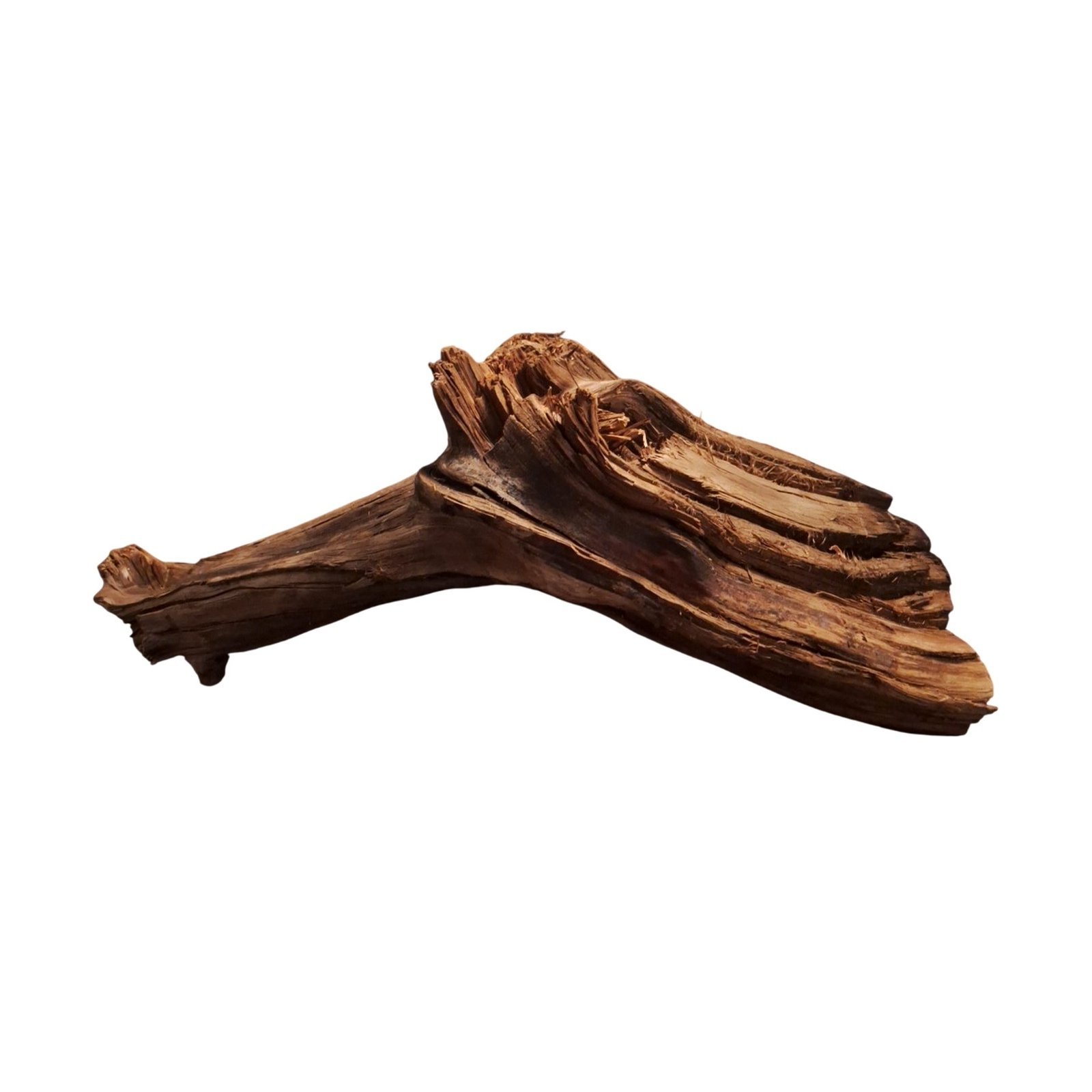 Tuskwood Akvarierot WYSIWYG Äkta Bogwood Unik 54 cm P062622 - Image 8