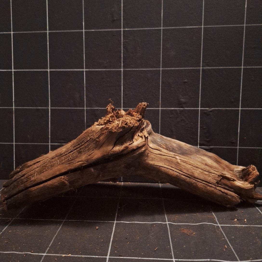 Tuskwood Akvarierot WYSIWYG Äkta Bogwood Unik 54 cm P062622 - Image 5