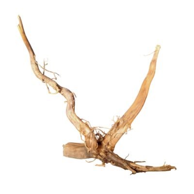 Tuskwood aquariumwortel in echt veenhout, 32 cm, P072618