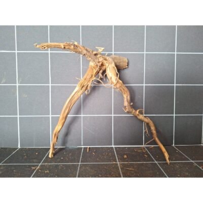 Tuskwood aquariumwortel in echt veenhout, 32 cm, P072618