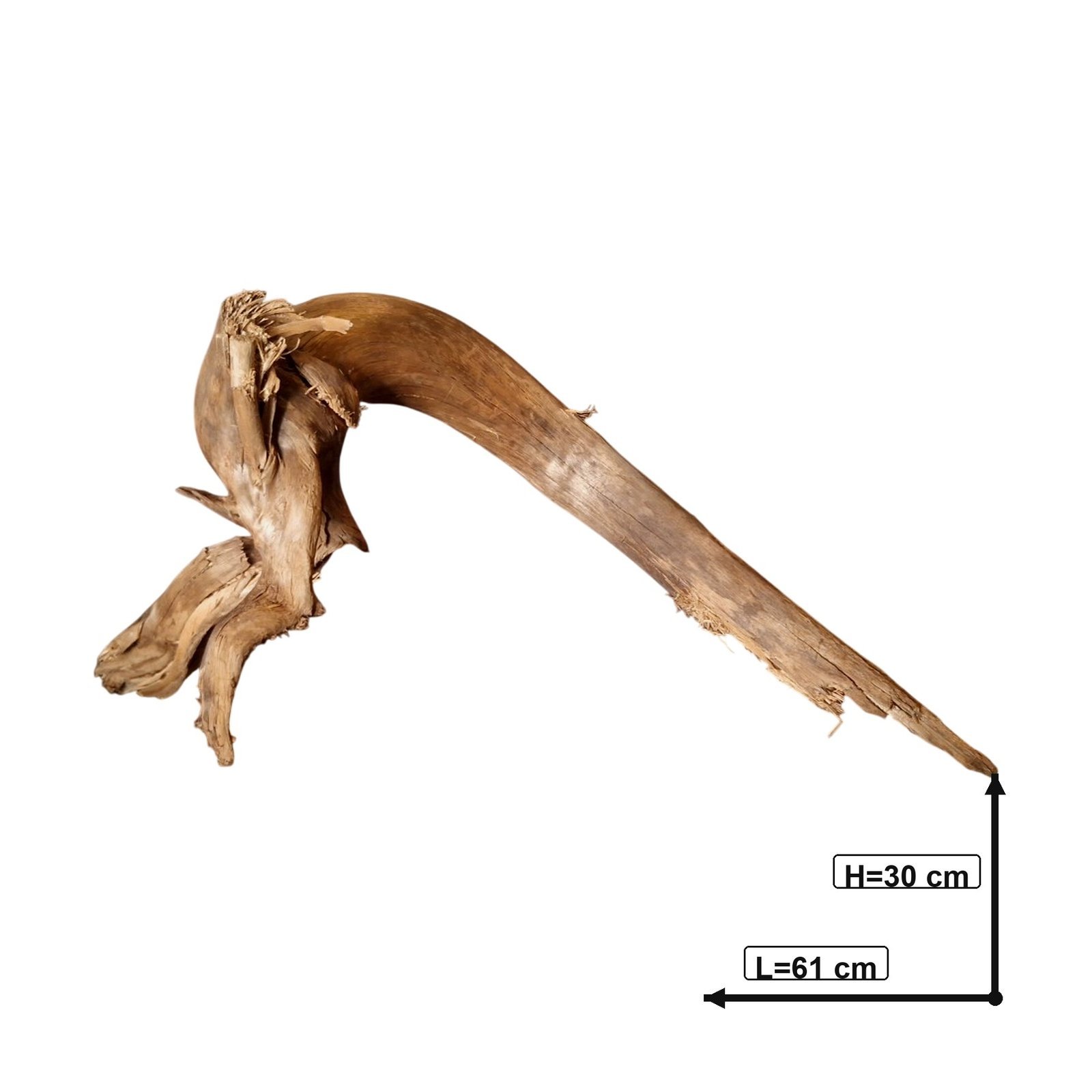 Tuskwood Akvarierot WYSIWYG Äkta Bogwood Unik 61 cm P072620 - Billede 3