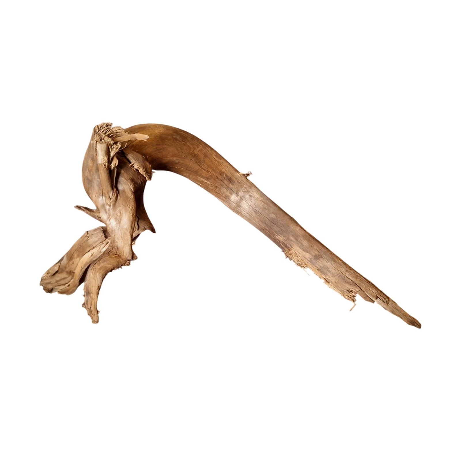 Tuskwood Akvarierot WYSIWYG Äkta Bogwood Unik 61 cm P072620 - Billede 6
