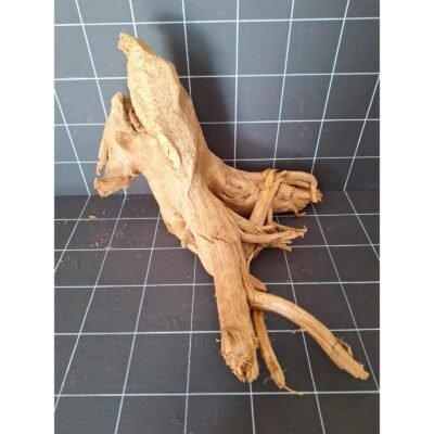 Tuskwood korzeń akwariowy z prawdziwego drewna bagiennego, 67 cm, P082618
