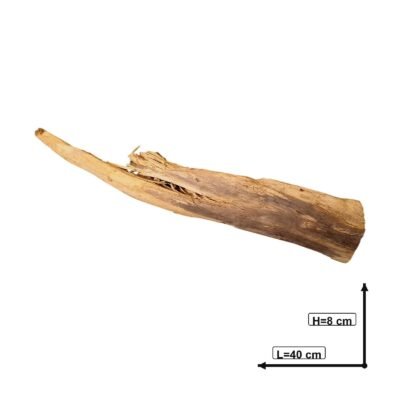 Måttsatt bild av Tuskwood akvarierot äkta bogwood 40 cm P082619