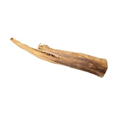 Frilagd Tuskwood akvarierot WYSIWYG äkta bogwood 40 cm P082619 mot vit bakgrund