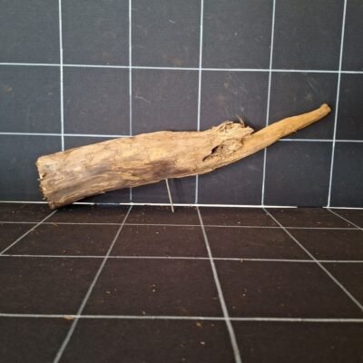Tuskwood akvarierot äkta bogwood 40 cm P082619 sedd bakifrån