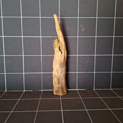 Tuskwood akvarierot WYSIWYG äkta bogwood 40 cm P082619