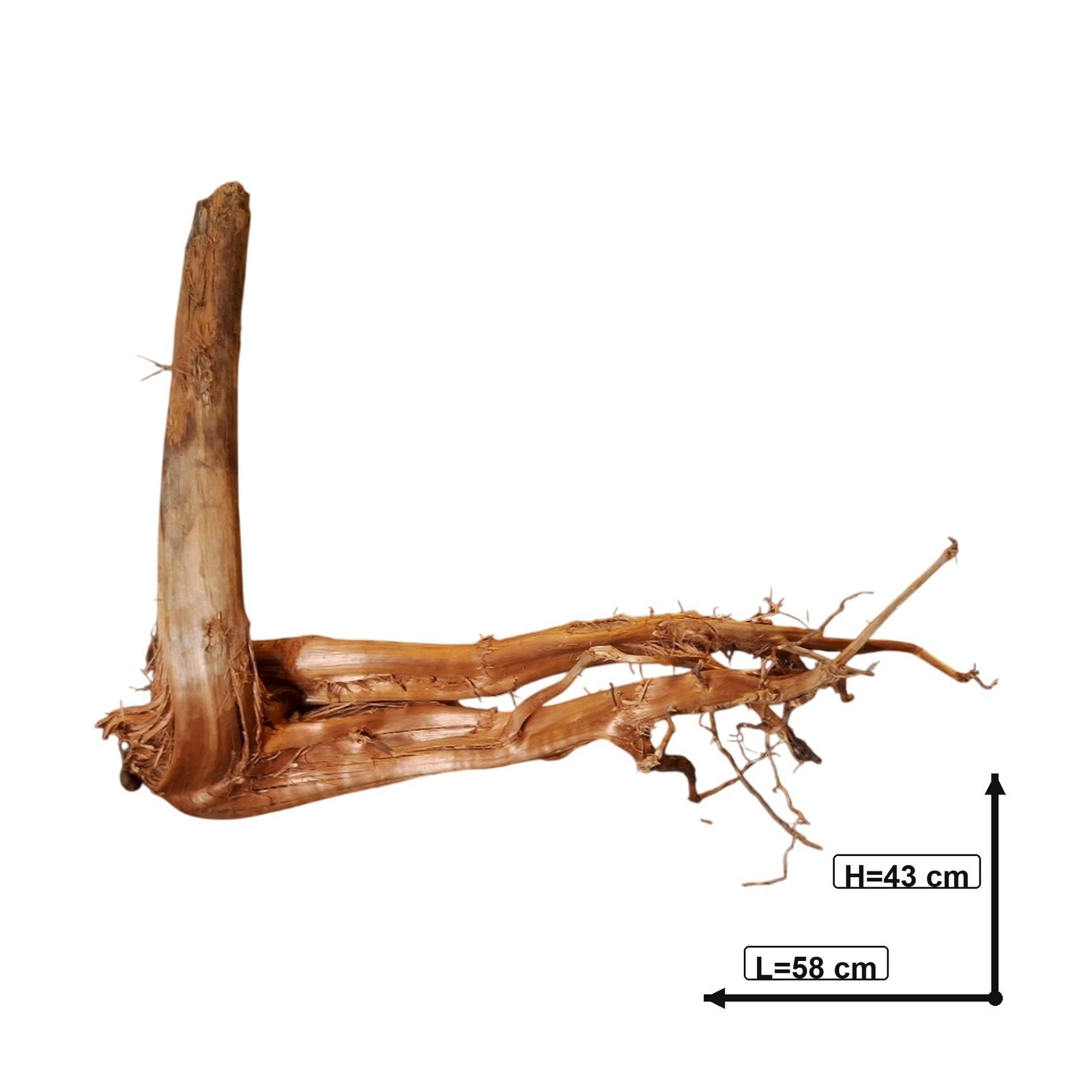 Tuskwood Akvarierot WYSIWYG Äkta Bogwood Unik 58 cm P082620 - Image 4