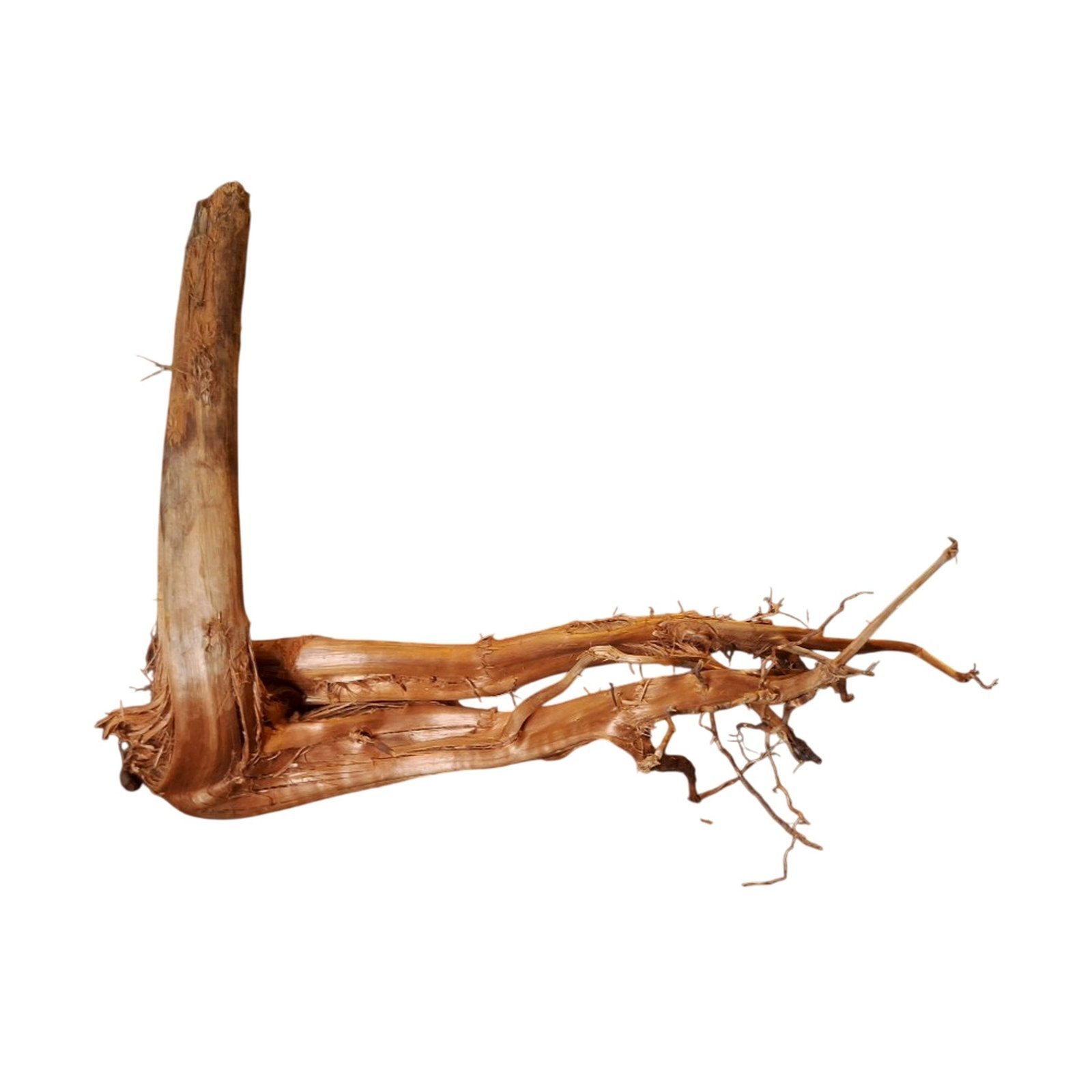 Tuskwood Akvarierot WYSIWYG Äkta Bogwood Unik 58 cm P082620 - Image 8