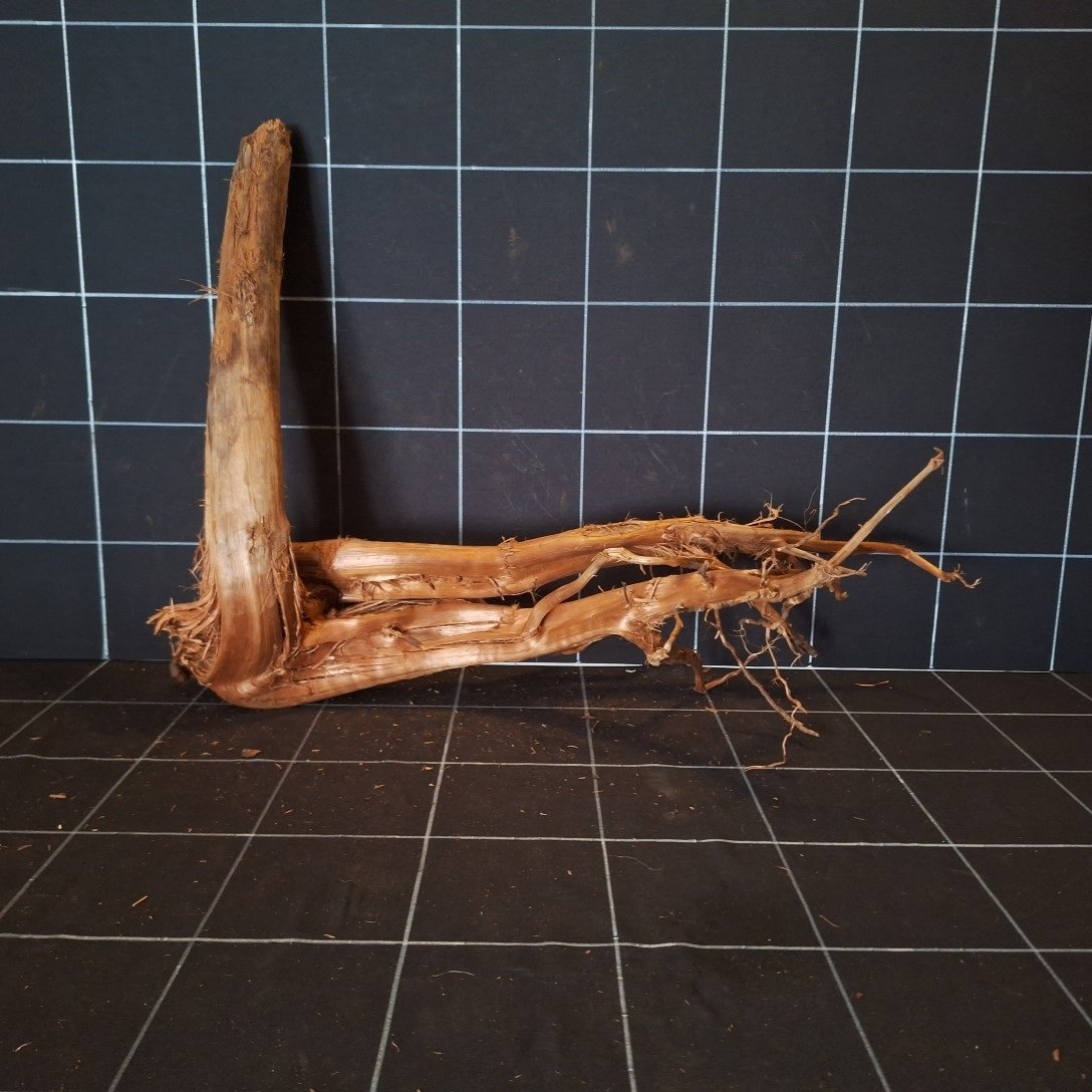 Tuskwood Akvarierot WYSIWYG Äkta Bogwood Unik 58 cm P082620 - Image 5